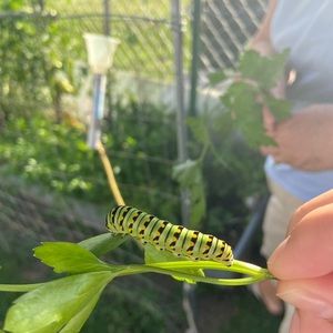 Meet your Posher, Lily